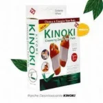 Set 10 Parches Desintoxicantes Kinoki