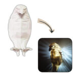LUMINARIA AGUILA 3D CON SOPORTE DE PARED