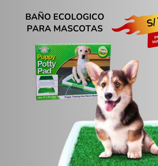 BAÑO ECOLOGICO PARA MASCOTAS BAÑO ECOLOGICO PARA MASCOTAS - Imagen 1