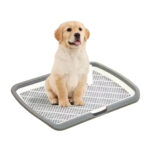 BAÑO ECOLOGICO PARA MASCOTAS Mod 2