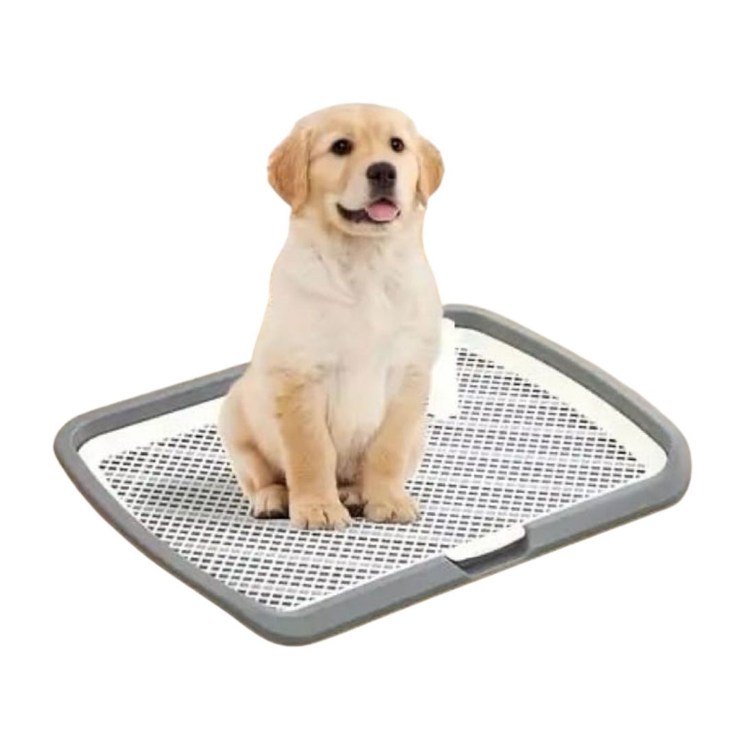 21 BAÑO ECOLOGICO PARA MASCOTAS Mod 2 - Imagen 1
